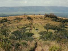 Somkhanda Community Game Reserve in KwaZulu Natal announces its latest community-driven development, the Somkhanda Community Conservation Centre. Credits: Milton Media.