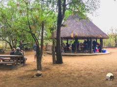 Three-phased renovations to uplift the Kruger picnic spot.