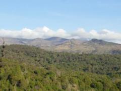 Trans-Nzoia County in Kenya has undertaken a project to convert 1920s settler homes into tourist attractions in a bid to boost tourism revenue. Credits: Kenya Wildlife Service. 