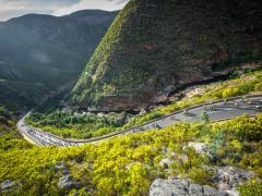 The Western Cape recently hosted the Coronation Double Century, another cycling event contributing to the province’s tourism sector, as it positions itself as Africa’s premier cycling destination. 
