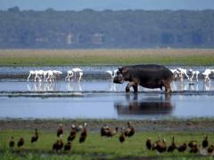  iSimangaliso Wetland Park in KZN upgraded a number of its facilities to enhance visitors’ experience.