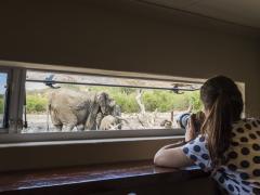 Upgrades enhance the game-viewing experience.