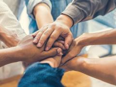 NTVIS kicks off in January 2019.