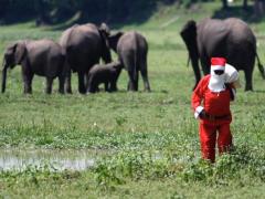 Opting for warmer weather, vibrant beaches, and authentic safari experiences, international travellers flock to Africa for a unique, Christmas experience in the sun.