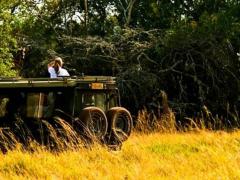 2018 was a successful year for Akagera National Park in Rwanda, posting a 20% visitor and revenue increase.