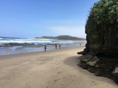 Request for proposals by the Mgungundlovu Communal Property Association.