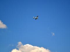 Coastal Aviation announces suspension of Selous and Ruaha flights due to the rainy season. 