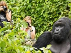 Tourism Update gets the low-down on what is trending in the MICE industry. 