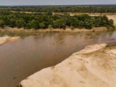 Remote Africa Safaris to open Takwela Camp in North Luangwa National Park later this year.
