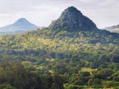 New luxury tented camp to open in Gorongosa National Park.
