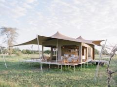 Roving Bushtops relocation underway. 