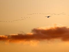 Saadani Airstrip in Tanzania is closed for maintenance and will once again be operational on February 6.