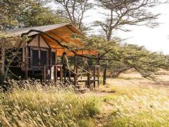 Year-round wildlife viewing at the restyled southern Serengeti camp, Sanctuary Kusini.