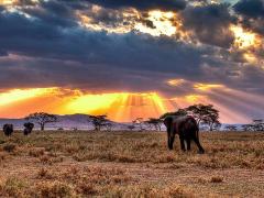 Two new lodges to open in Tanzania. Credit: Experience Africa.