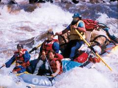 Travellers can book anything from safaris to zip-lining on Tribal Tourist, from anywhere in the world.