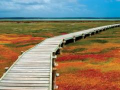 Environmental authorisation gives the go-ahead to the Kraalbaai upgrade.