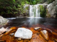Botanical gardens near Betty's Bay closed due to fire.