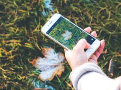 Tourists and residents of all ages are invited to join the Nature Challenge.