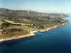Shark cage diving a part of research on Great White Shark species.