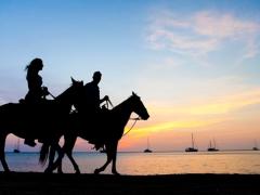 Horseback safaris give riders a different experience of wildlife.