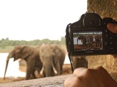 Kenya Tourism Board partners with travel agents. Image credit: mwFilm.