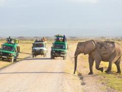 The Kenya Tourism Board provides insights into the Indian travel market.  