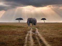Contract between Tanzania and China indicates increase in Chinese tourists to the country.