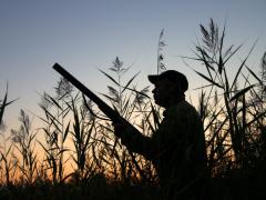 Botswana faces criticism from major source market.