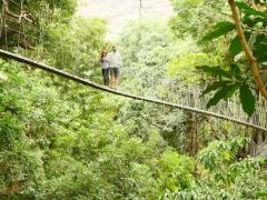 From a treetop walkway to a visit with the Datoga Tribe.