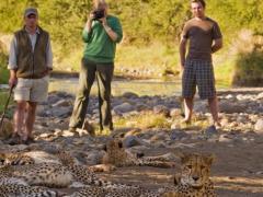 Sleep under the stars and track wildlife in an immersive conservation journey.