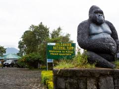 Singita opens luxury lodge in north-west Rwanda.