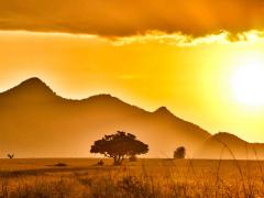 The first online Africa Travel & Safari Show held in February provided valuable insight whilst proving to be efficient, easy to use and accessible. 