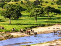 Tourism attractions to become more easily accessible.