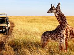 Tanzania Tourism Board to be rebranded.
