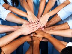 Animal interaction workshops now online.