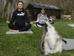 Yoga in nature, with nature.