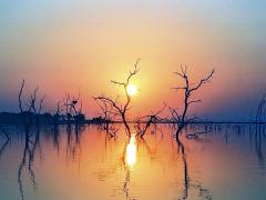 Baobab lodge offers guests good sunrise and sunset views of the Lake Kariba.