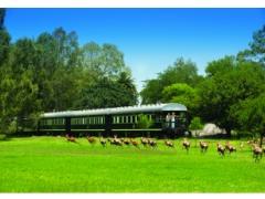 Game running alongside a Rovos train.