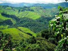 Partnership to reinforce Rwanda’s position as a high-end sustainable tourism destination.