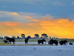 Botswana provides and experience that is worth every cent.