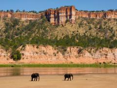 Gonarezhou National Park.