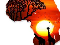 It's all tourism players' responsibility to show showcase Africa at it best.