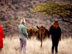 Temporary suspension of walking safaris while Conservancy awaits permits.