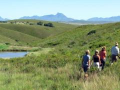 Hiking through the fynbos in Gondwana Game Reserve. Image credit: Gondwana Game Reserve. 