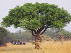 From the Kruger Park to Cape Town.