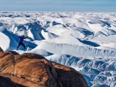 From Kruger, to Cape Town, to Antarctica.