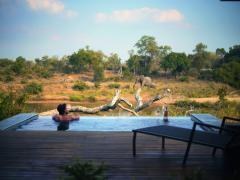 South Africa comes top at Safari Awards Africa 2019.