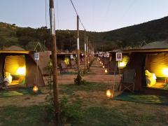 Partnership opens doors for two major tourism players.