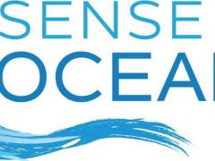 Mozambique Voyages launches as Sense of Oceans.