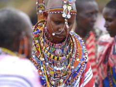Participants will dive into local culture.
